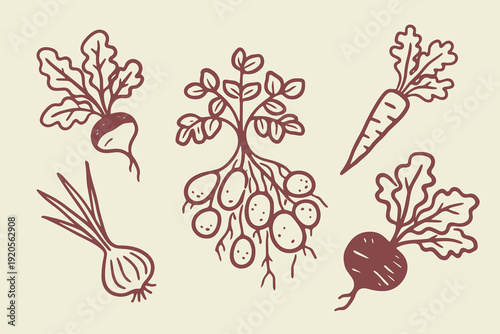 Root vegetables doodle set hand drawn vector illustration