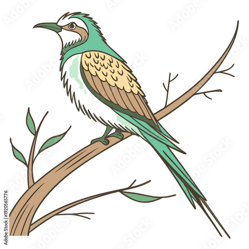 Green bird with brown and white feathers perched on branch