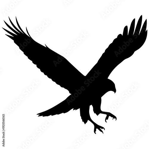 Black Silhouette Eagle Flying Descending Fierce Predator White Background Vector