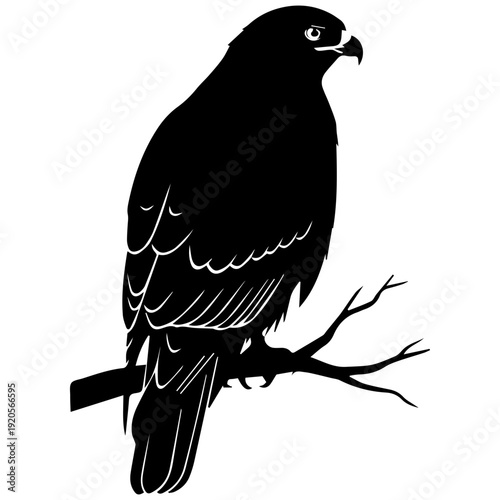 Black silhouette of a hawk perched on a branch, majestic bird of prey emblem