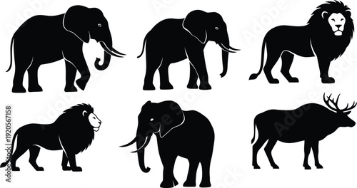 Silhouettes of various wild animals