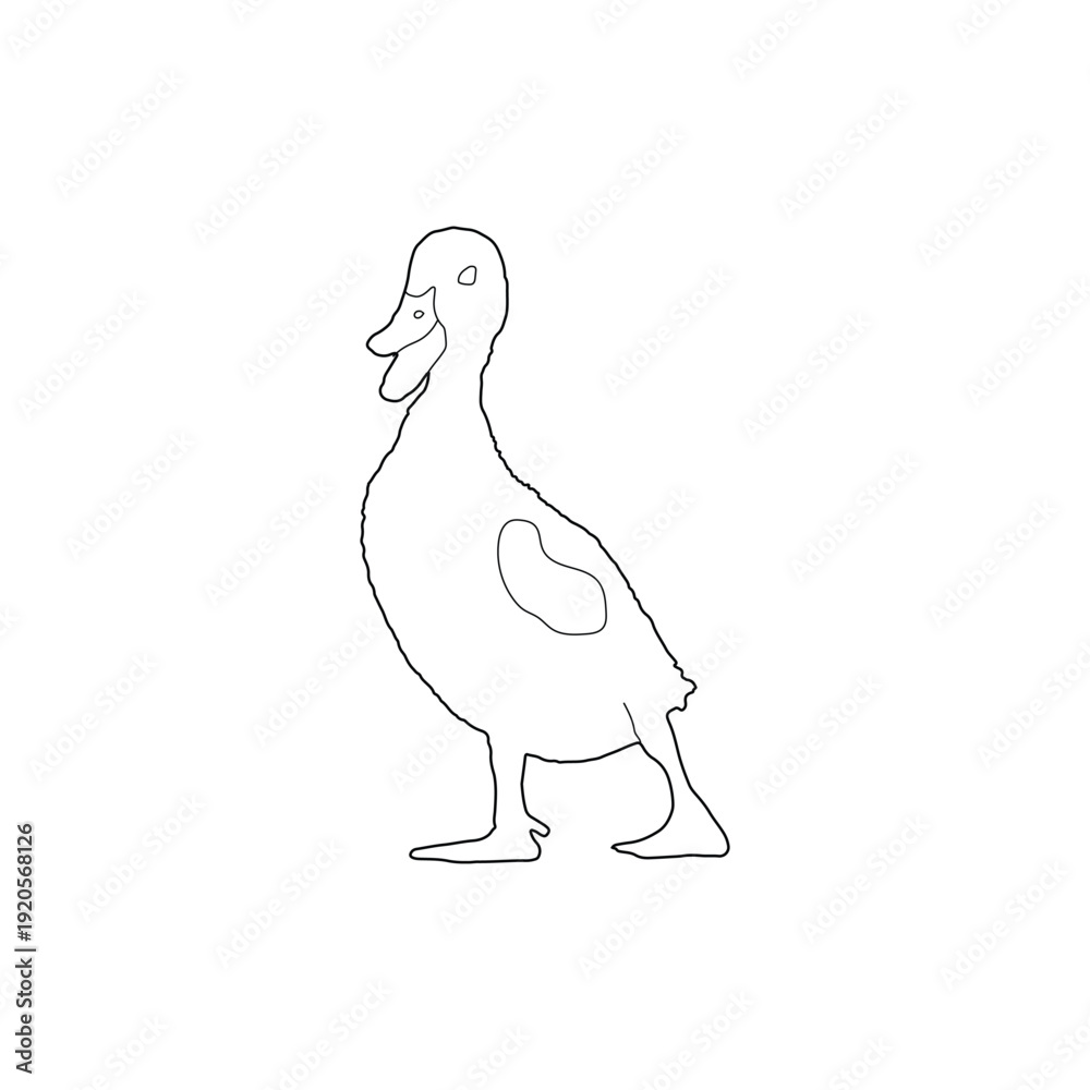 Fototapeta premium Baby Duck Silhouette Line Art Black and White Vector.