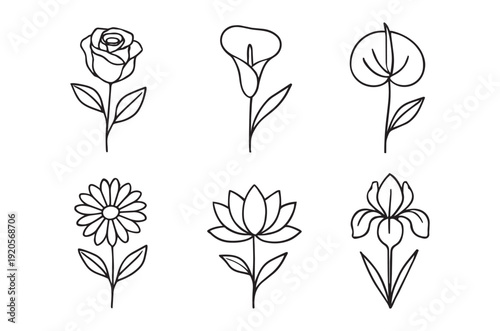 Minimalist line art depicting six different flower varieties in a simple elegant style high quality