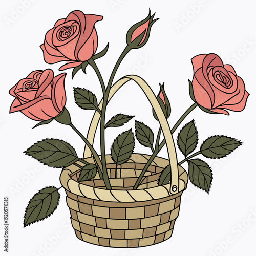 Pink roses in a woven basket rose bouquet flowers