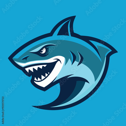 shark vector illustration
