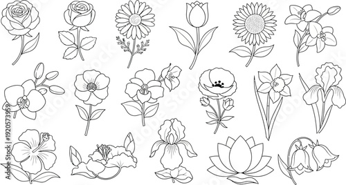 Black and white line of various flowers