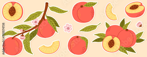 A set of ripe peach stickers. Peach tree branches with fruits, peach slices, leaves, and flowers.