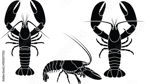 Lobster silhouette vector set with top and side views, black seafood crustacean illustration isolated on white background