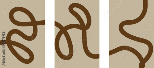 Spirochete bacteria illustrations