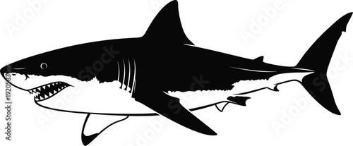 Great white shark black silhouette with detailed fins and teeth isolated on white background vector illustration