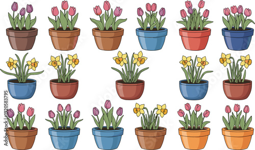 Colorful spring flowers in pots tulips and daffodils blooming garden plants flat vector illustration collection