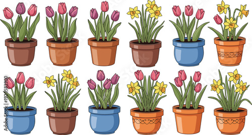 Spring tulips and daffodils in flower pots colorful blooming garden plants flat vector illustration collection set