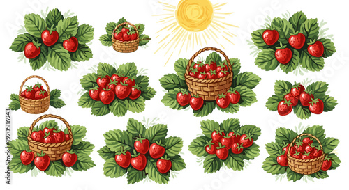 Collection of christmas baskets and holly with red berries
