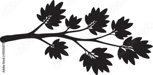 Branch with multiple leaves on a tree in detailed vector silhouette illustration