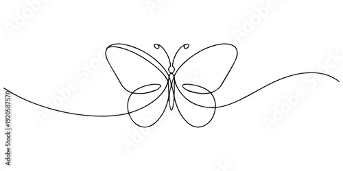 Butterfly drawing drawn with one continuous line. Single line design of beautiful butterfly for logo, business, social media. Vector editable illustration, Continuous one line art drawing of butterfly