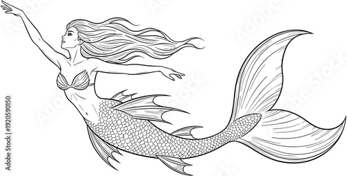 Elegant black and white line art drawing of a beautiful mermaid swimming upwards isolated on a clean white background.