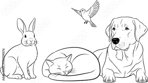Hand drawn line art illustration featuring a group of cute domestic pets including a dog cat rabbit and flying bird.