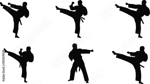 Black Silhouette Vector Illustrations of Martial Arts Athletes Performing Karate Kicks and Combat Stances for Sports Fitness Training and Dojo Branding