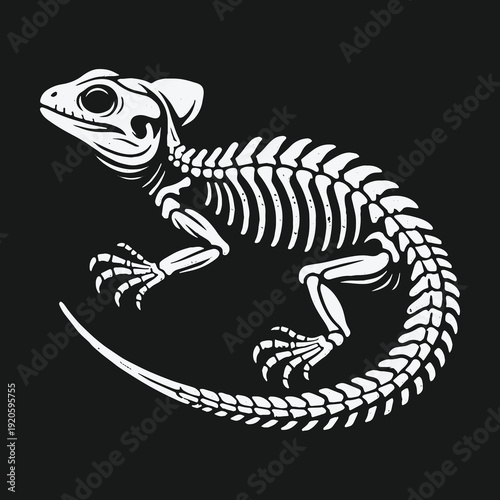 Lizard Skeleton Illustration: Anatomical Study of Reptilian Anatomy.