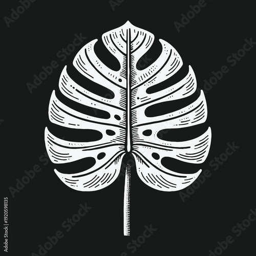 Monstera Leaf Illustration: A Detailed Botanical Art Piece.