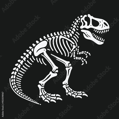 Tyrannosaurus Rex Skeleton Illustration on Dark Background.