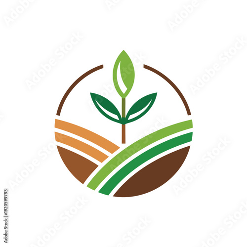 Green sprout growing in fertile soil layers isolated on white background