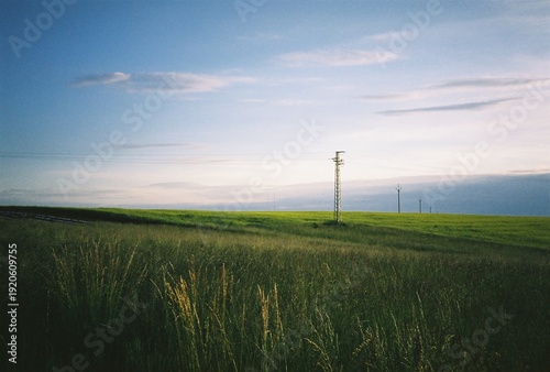 Minimalist landscape with power lines in a grassy field, analog photography