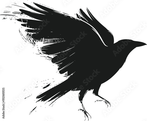 A black bird in flight with its wings spread wide