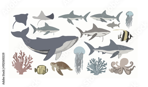 Hand drawn marine life collection with whale sharks and sea animals vector isolated on white