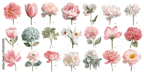 A vibrant collection of delicate watercolor wildflowers and botanical elements, showcasing a variety of colors and textures, isolated on a transparent background.