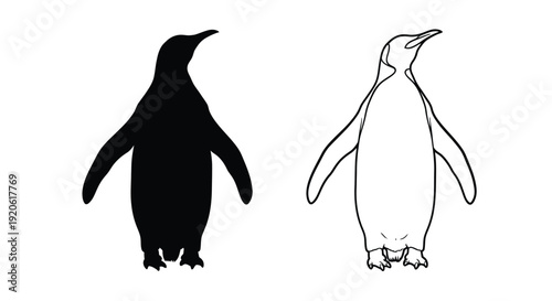 Penguin illustrations a solid silhouette alongside a line drawing