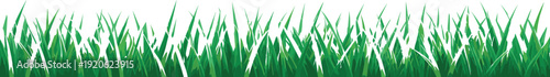 Vibrant green grass blades with a fresh natural appearance and a clean white background spring and summer themes
