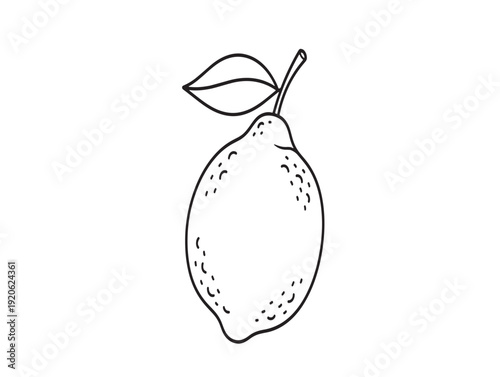 A black and white illustration of a lemon with a leaf