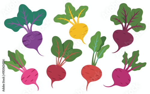 Collection of colorful root vegetables with green leaves isolated white background