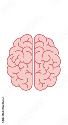 Stylized illustration of a human brain, showing two hemispheres in light pink with red outlines on a white background.