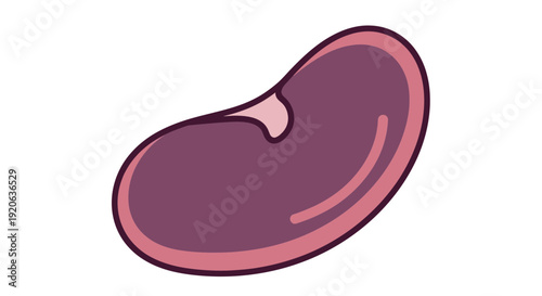 A simple cartoon illustration of a single kidney bean, purple in color with a light pink outline, on a white background.