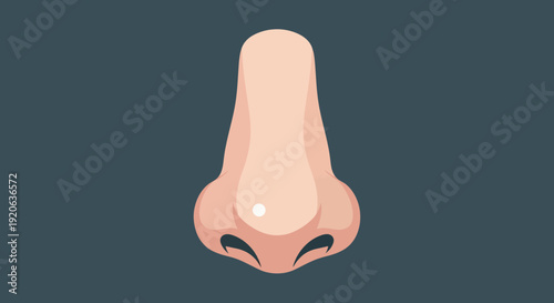 Detailed illustration of a human nose with visible nostrils and light skin tone on a dark background.
