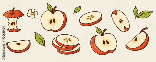 Apple slice set. Flat apple slice collection with halves, quarters and round pieces, leaves and seeds. Minimal style. Ideal for packaging, juice branding, prints and food design.
