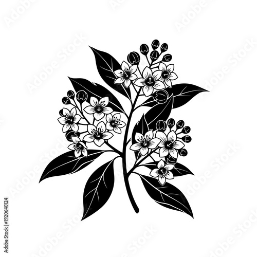 Creative details Mountain Laurel Blossom Icon vector illustration