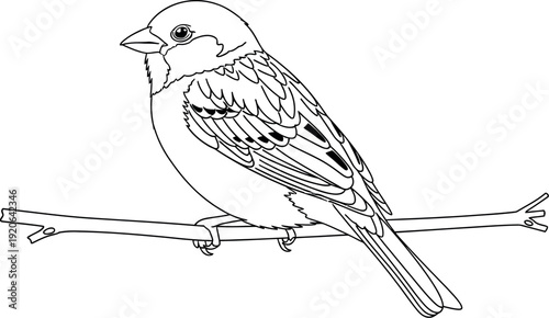 Simple black and white outline drawing of a small songbird perched calmly upon a delicate horizontal tree branch against a clean white background, ready for coloring.