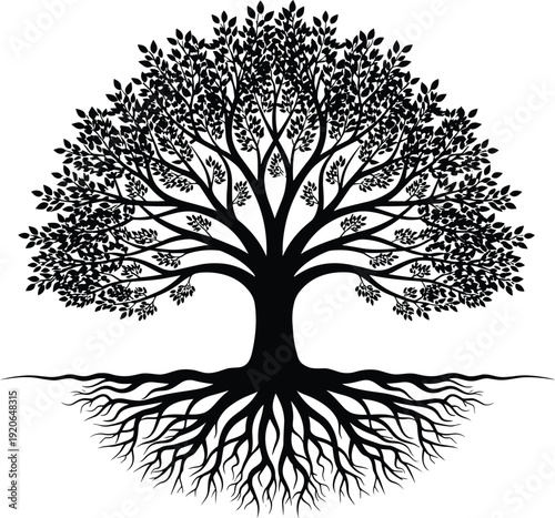 Black vector silhouette of a symmetrical deciduous tree with dense leafy branches and visible underground root system for nature environment genealogy and life branding