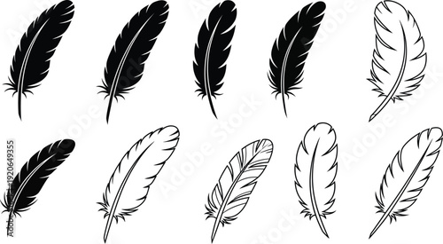 Black and white feather illustrations collection