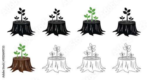 Regrowth from tree stumps a visual representation of renewal and life