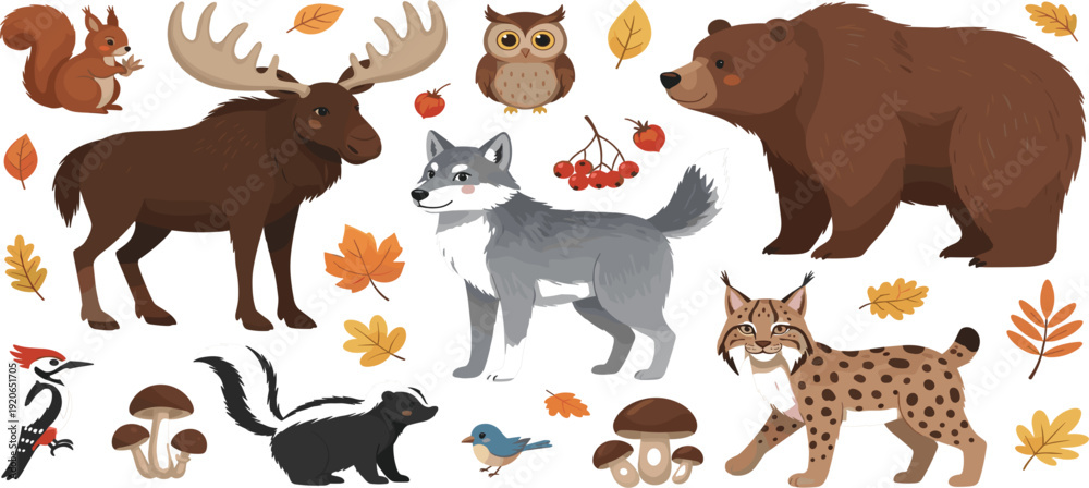 Fototapeta premium Forest woodland animals vector set with bear, moose, wolf, lynx, owl, squirrel, and autumn leaves