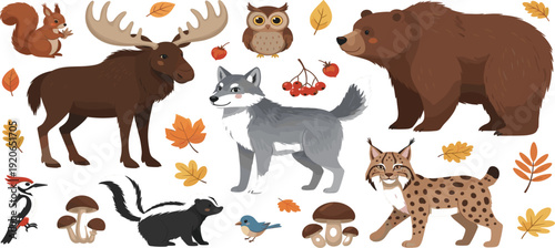 Forest woodland animals vector set with bear, moose, wolf, lynx, owl, squirrel, and autumn leaves