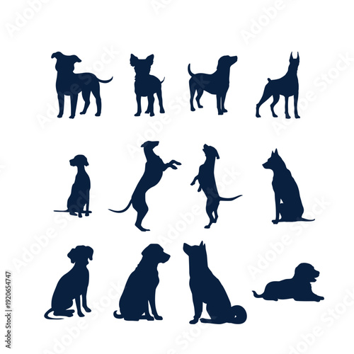 silhouettes of dog