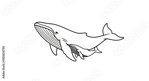 Simple line drawing of a humpback whale in profile view.