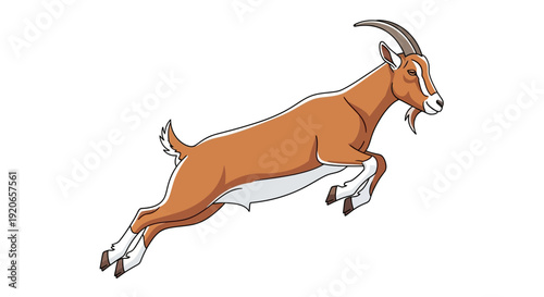 A brown goat is jumping in the air