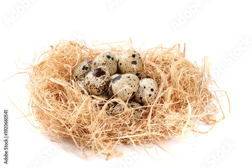 Fresh Free Range Quail Eggs in Straw Nest - Delicious Protein Rich Farmhouse Food