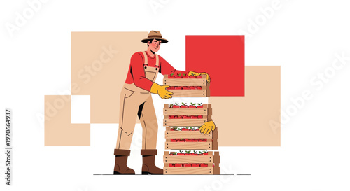 Harvesting Fresh Produce Farmer Stacking Crates Of Ripe Tomatoes